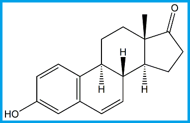 ESTRONE 6-KETO IMPURITY / 6-OXO ESTRONE